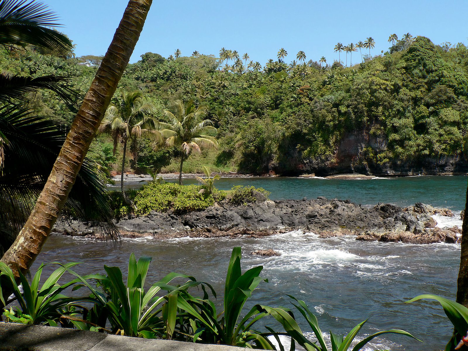 Hawaii Tropical Botanical Garden 09 _attraction