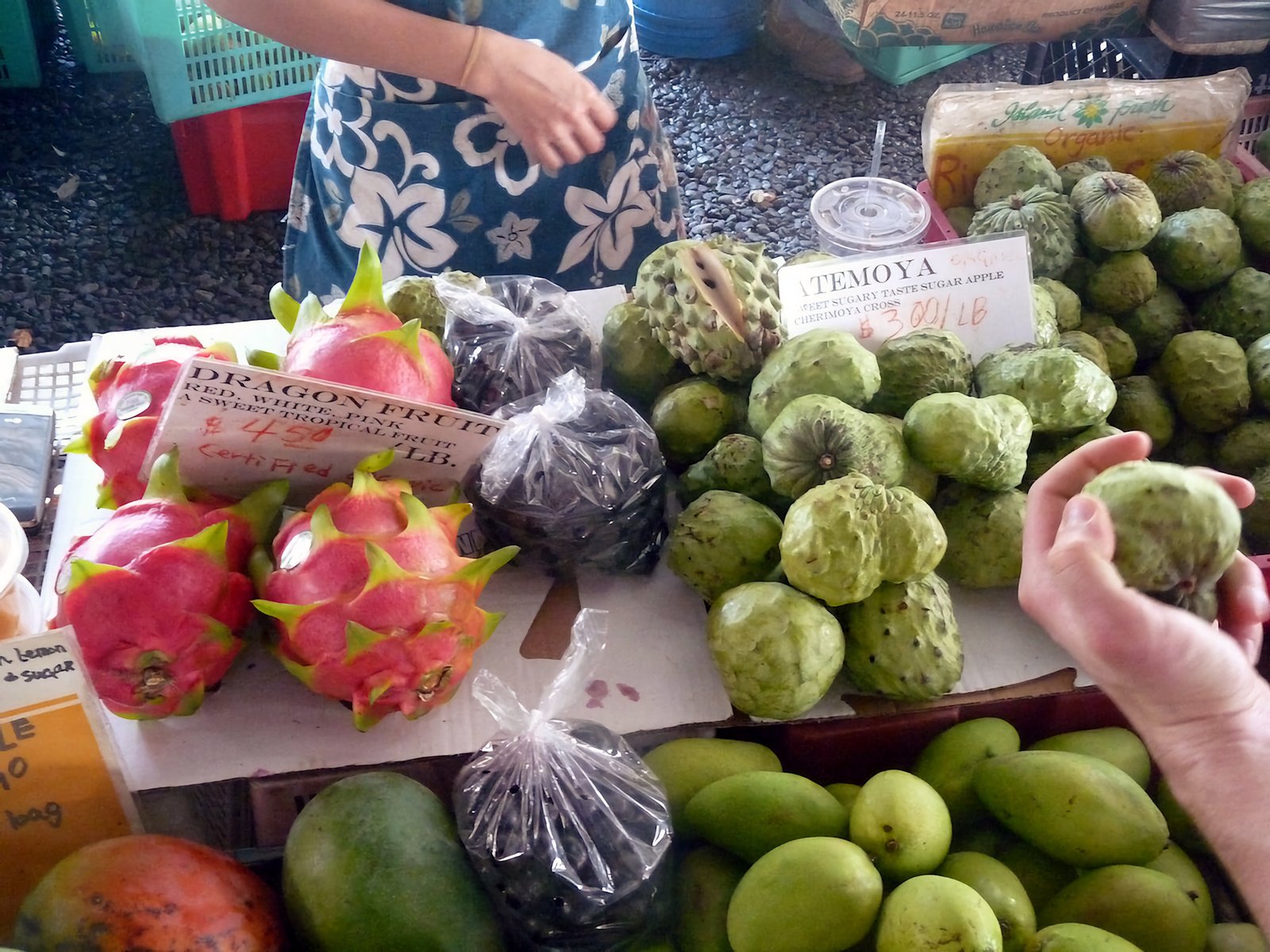 Hilo Farmers Market 01 _attraction